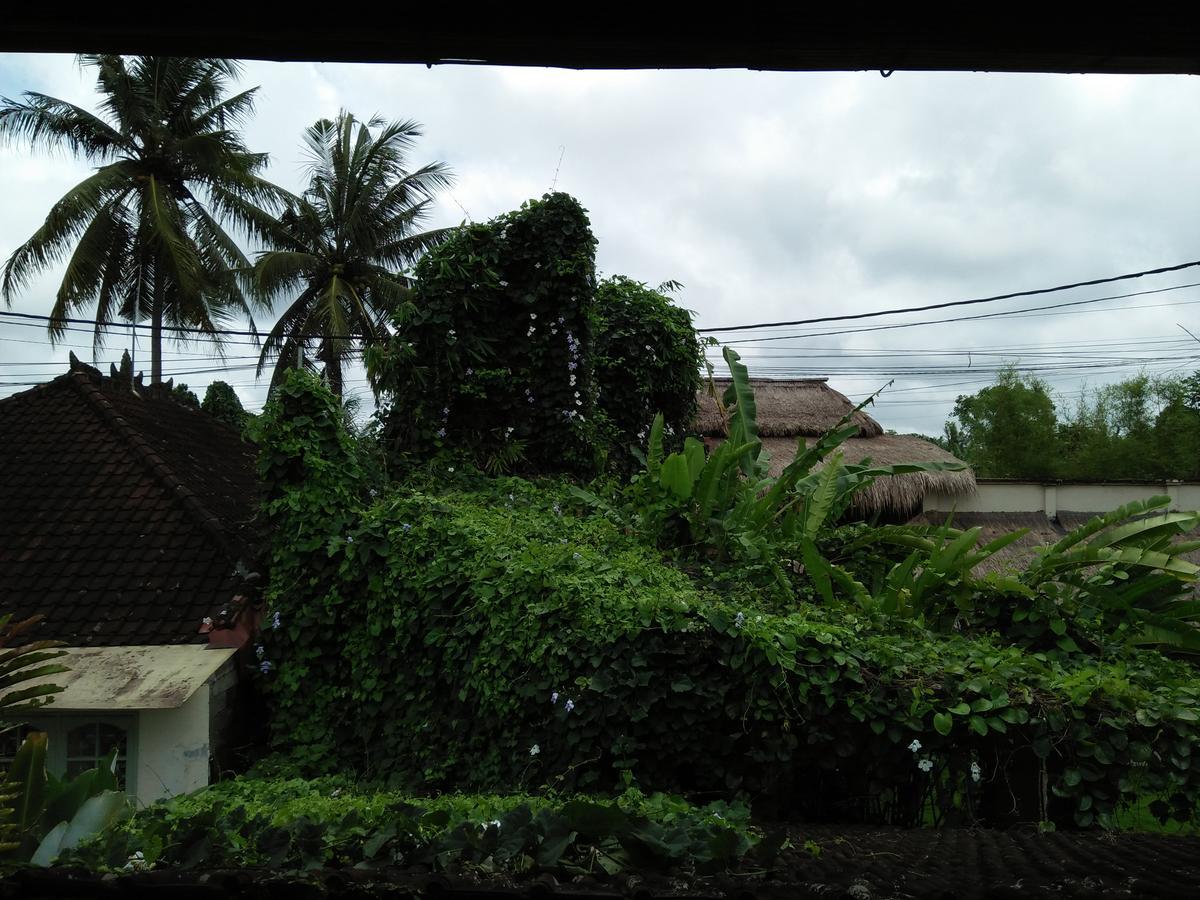 Villa Gaia Ubud Dış mekan fotoğraf